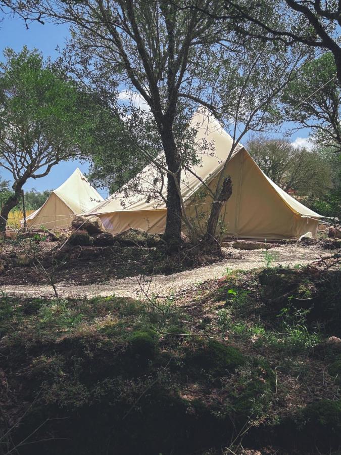 Pasare Glamping_Anglonaruralexperience Otel Perfugas Dış mekan fotoğraf