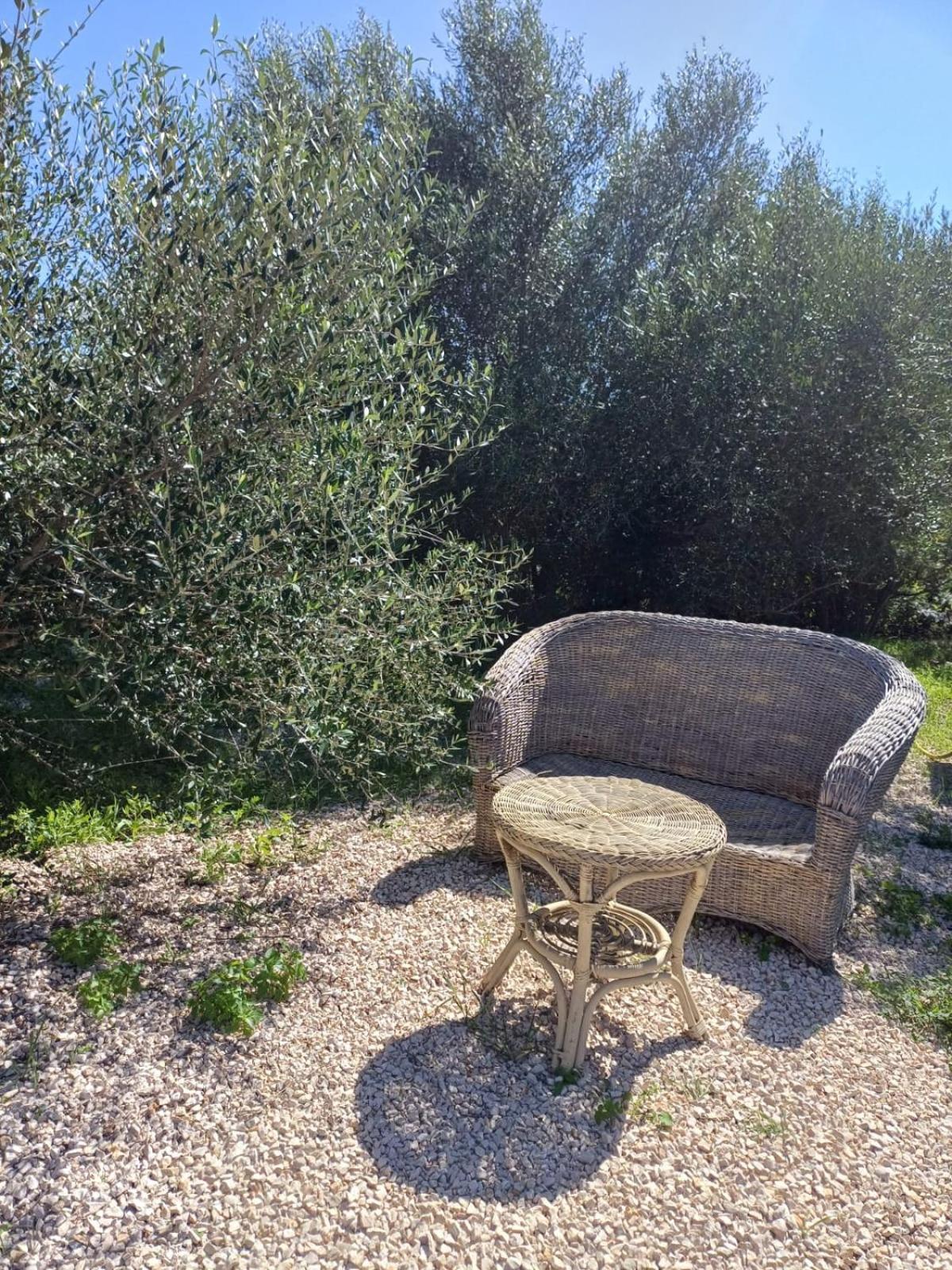 Pasare Glamping_Anglonaruralexperience Otel Perfugas Dış mekan fotoğraf